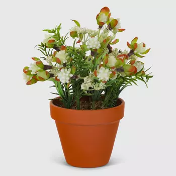 Композиция Конэко-О 19229