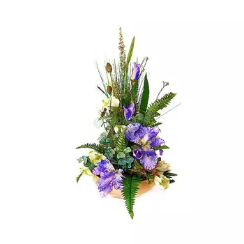 Конэко-О Композиция 13080213