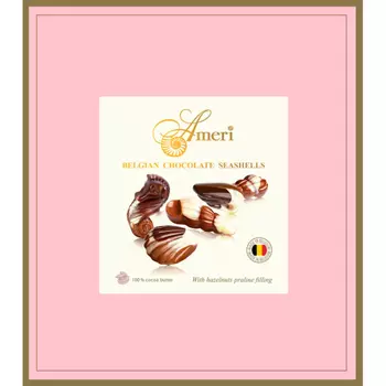 Конфеты Ameri шоколадные с начинкой пралине 250 г