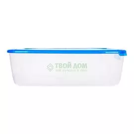 Контейнер Plast Team Polar (PT1679)