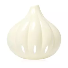 Контейнер Qlux для хранения чеснока