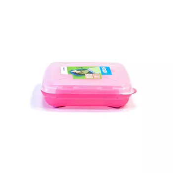 Контейнер Smash для сэндвичей 450 мл