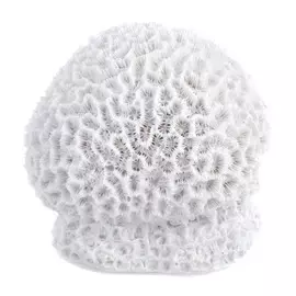 Коралл 11х11х9см Edelman