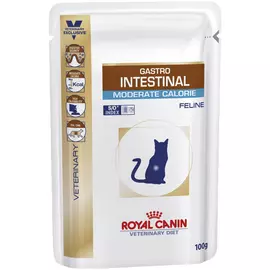 Корм для кошек Royal Canin Gastro Intestinal 100 г