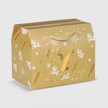 Коробка подарочная Due Esse Christmas natalizia 19x16х13 см