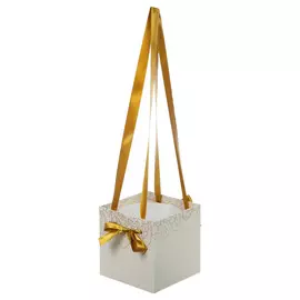 Коробка-ваза Jardin d eden 18х18х18 m бел.золото