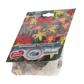 Крокосмия Simple pleasures king of orange 20шт