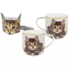 Кружка 0.5 л Котёнок Carmani (CAR2-017-0015)