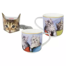 Кружка 0.5 л Котята в кружках Carmani (CAR2-017-0014)