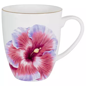 Кружка Anna Lafarg 0.4л гибискус