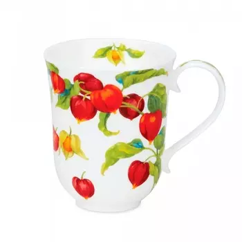 Кружка Dunoon Физалис.Бремор 330 мл