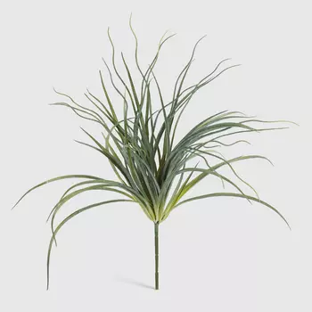 Куст Конэко-О 7418 50 см