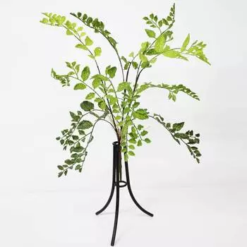 Куст садовый Конэко-О зеленый 60 см