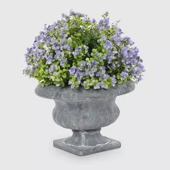 Куст вереска Конэко-О 61016 в кашпо