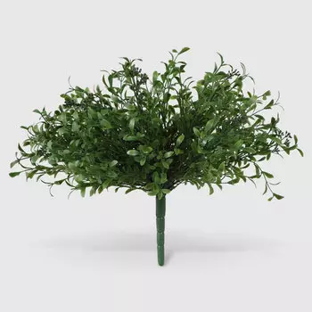 Куст вереска Конэко-О с ягодами 35см