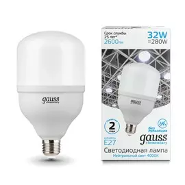 Лампа Gauss Elementary LED T100 E27 32W 2600lm 180-240V 4000K 1/20