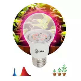 Лампа красно-синего спектра Эра FITO-10W-RB-E27-K