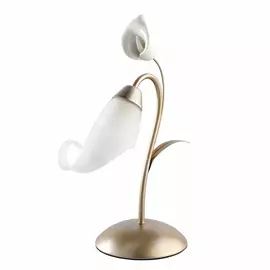 Лампа настольная MW-Light 242037301 1/60w e14