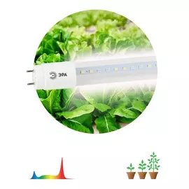 Лампа полного спектра Эра FITO-18W-Ra90-Т8-G13-NL