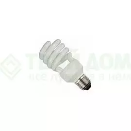 Лампочка Gauss T2 spiral 172123