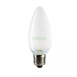 Лампочка PHILIPS LAMPS B35 60W E27FR