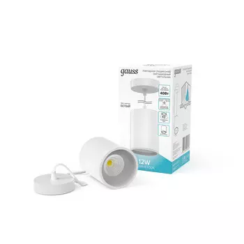 LED светильник Gauss накладной (подвесной) HD044 12W (белый/белый) 4100K 79X100мм 1/20