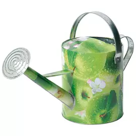 Лейка цинковая 5л Verdemax