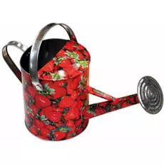 Лейка цинковая 5л Verdemax