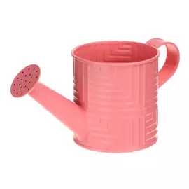 Лейка для цветов Kaemingk garden металл 22х10 см в ассортименте