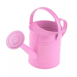 Лейка металлическая Worth 3 л