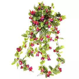 Лиана фуксия Конэко-О