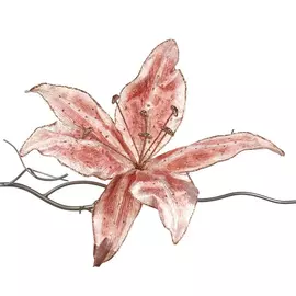 Лилия на клипсе Goodwill розовая 35 см