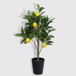 Лимонное дерево Koopman искусственное 20х18х71 см