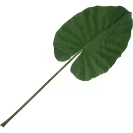 Лист Dpi алоказия искусственный 110 см