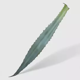 Лист Edg aloe vera искусственный 98 см