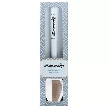 Ложка ретро Би-Хэппи Александр 17 см