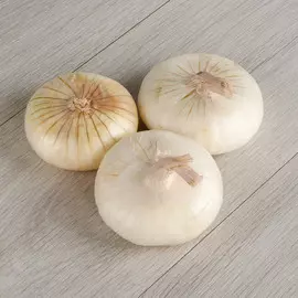 Лук белый Ялтинский
