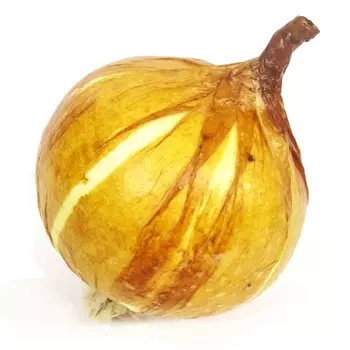 Лук репчатый искусственный Конэко-О 6х7 см