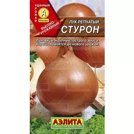 Лук "Стурон" Аэлита