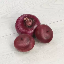 Лук Ялтинский