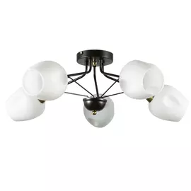 Люстра Arte Lamp a2706pl-5ck