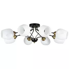 Люстра Arte Lamp a2706pl-8ck