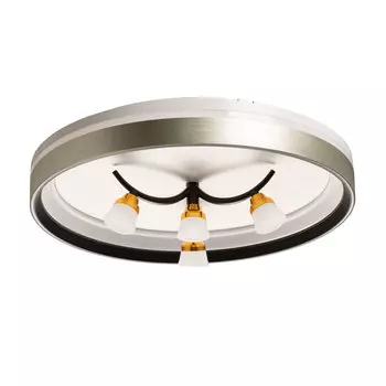 Люстра De city Норден 660014901 96w 4w led