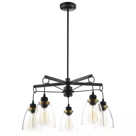 Люстра Freya FR4167-PL-05-BL Черный 5хE27х60W