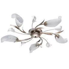 Люстра MW-Light 242016205 5/60w e14