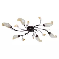 Люстра MW-Light 242017006 6/60w e14