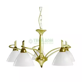 Люстра подвесная Euroart 287lo5ff-Lk