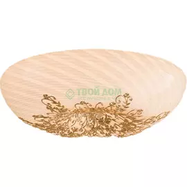 Люстра потолочная Citilux CL254262 Торо