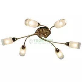 Люстра потолочная CITILUX Монтана CL117162 (CL117162)