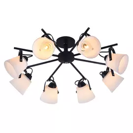 Люстра потолочная J-light OMNI 2365/8C E27*8*60W черный/белый